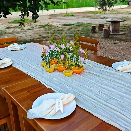 Hotel Albulena &